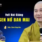 [Audio] Full Bài Giảng Sen nở ban mai - TT.Thích Pháp Hòa thuyết giảng