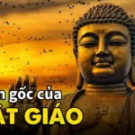 Đôi nét về đạo Phật và Giáo hội Phật giáo Việt Nam