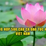 Tổng hợp 500 câu ca dao tục ngữ Việt Nam hay nhất