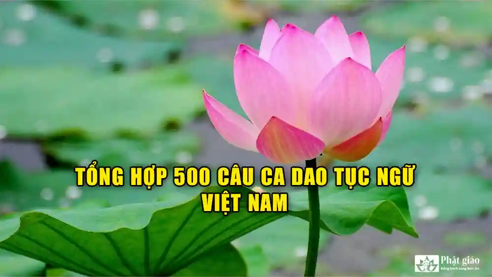 Tổng hợp 500 câu ca dao tục ngữ Việt Nam hay nhất