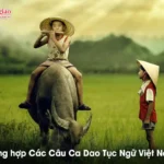 Câu Tục Ngữ - Tổng hợp Các Câu Ca Dao Tục Ngữ Việt Nam