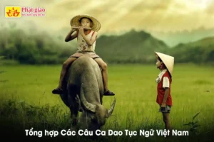 Câu Tục Ngữ - Tổng hợp Các Câu Ca Dao Tục Ngữ Việt Nam